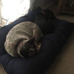 Meet your Posher, Kendall